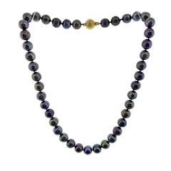 Essential Tahitian Pearl Necklace CULTURE TAHITIAN 16